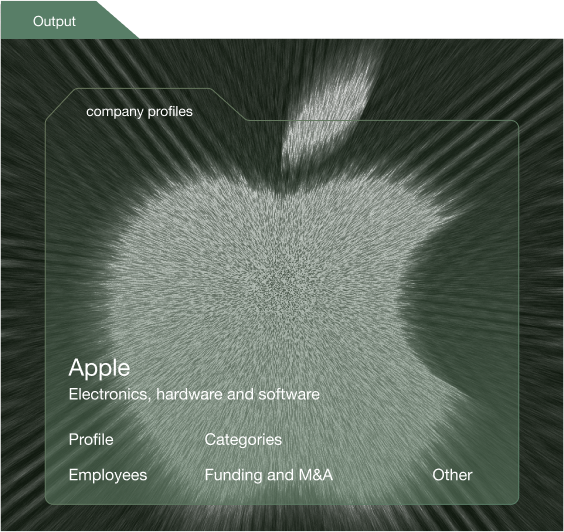 Company data visualization