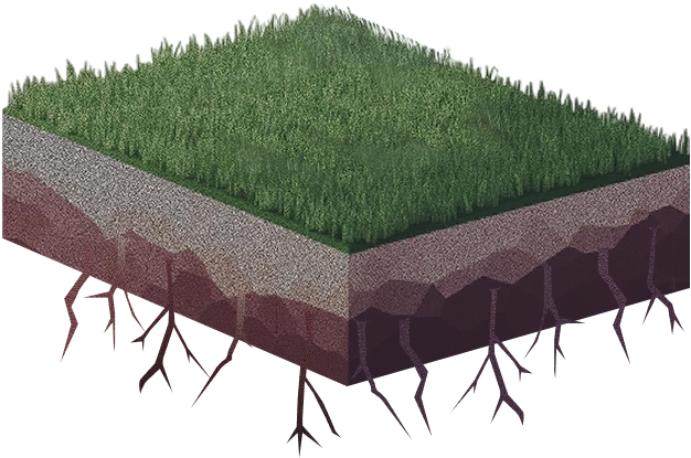 Our people data visualization tree