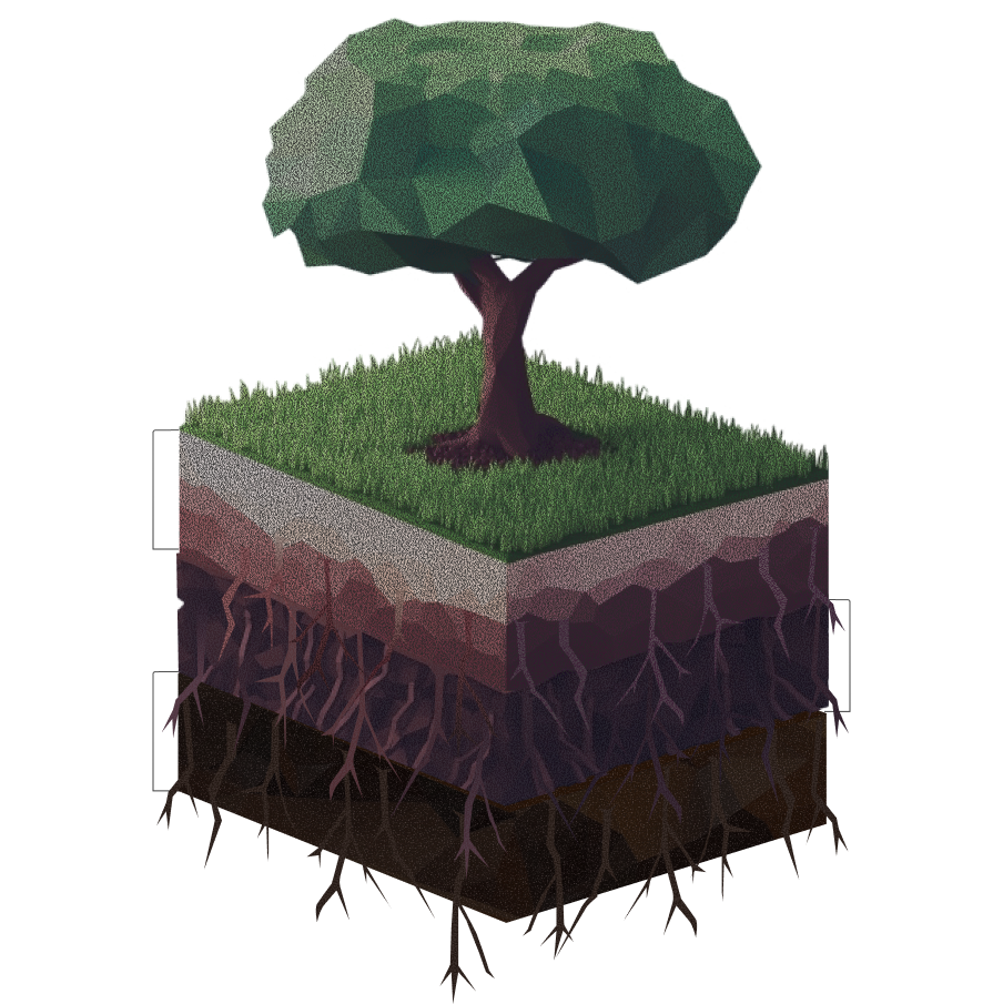 Data visualization tree